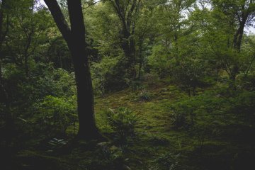 <p>Hokyo-in Temple, Kyoto</p>