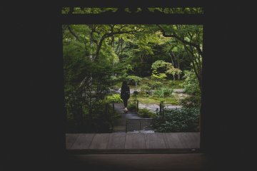 <p>Off into the garden</p>