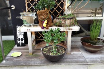 Walk past the homely decoration outside and you may be mistaken for a Japanese grandmother's house.