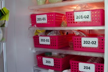 <p>Dan warna pink untuk penghuni wanita</p>