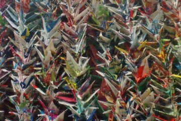 <p>Des grues color&eacute;es &nbsp;</p>