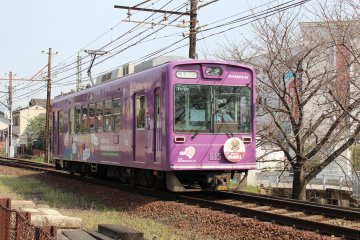 Tour Kyoto by Tram and on Foot