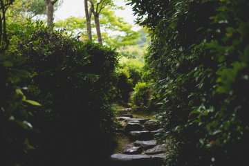 <p>So many inviting pathways</p>