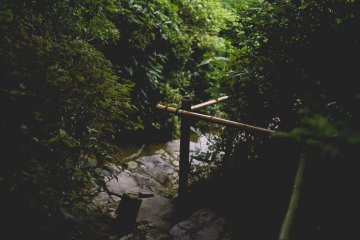 <p>A few steps</p>