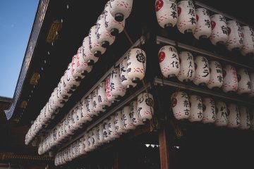 <p>Lanterns</p>