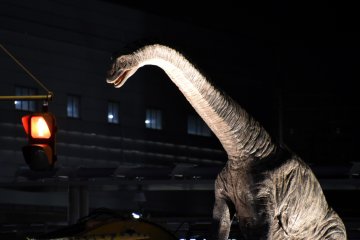 <p>Close-up look at one of the dinosaurs</p>
