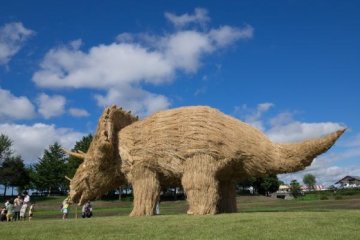 Triceratops