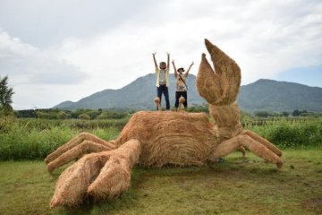 Crab-like structure!