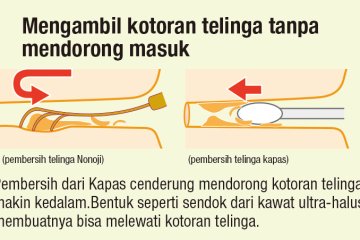 <p>Guide to using mimikaki</p>
