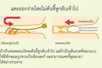 <p>Guide to using mimikaki</p>