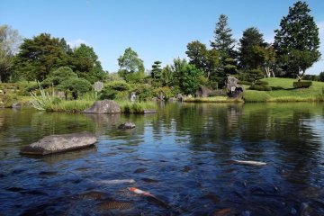 <p>The carp pond, not yet in the statue's shadow</p>