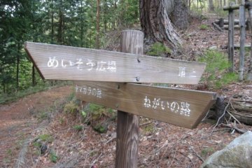 Which way to go?