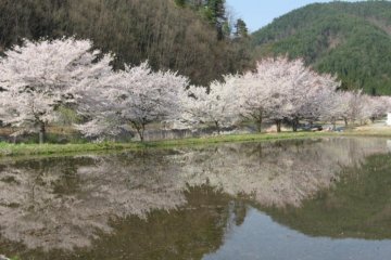 On the way to Ankoku-ji