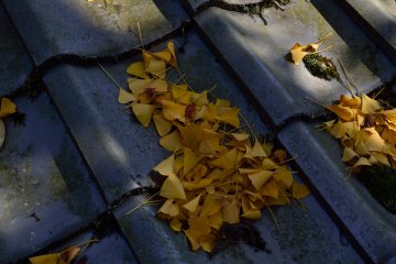 Autumn at Shikoku's 88th Temple