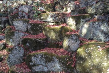 <p>Leaves falling and piling up on the stone walls</p>