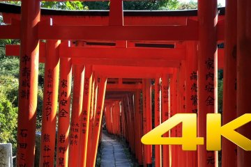 Le Sanctuaire Nezu-jinja