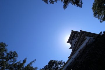 Kochi Castle with backlighting