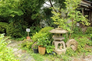 <p>In the garden</p>