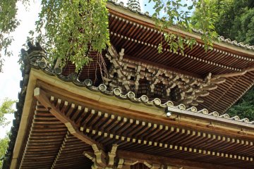 <p>From another angle</p>