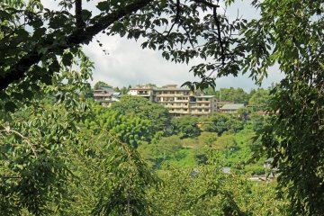<p>Zoom</p>