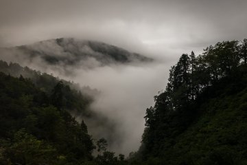 <p>The White Ring Tour Bus passes through amazingly beautiful countryside</p>