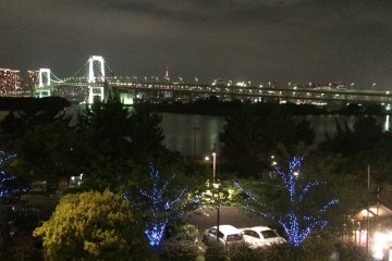<p>Pepohonan menyala di malam hari untuk&nbsp;Odaiba Illumination.</p>