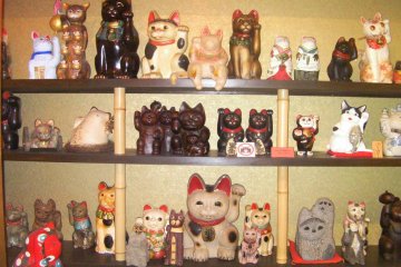Kitties galore