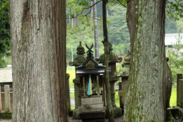 <p>A small shrine altar between two enormous cedar trees</p>