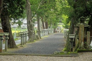 <p>Back down the omotesando</p>