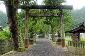 <p>Looking back toward the inner grounds from halfway down the omotesando</p>