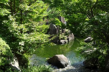 En été, le jardin est verdoyant et comporte de nombreuses nuances de vert