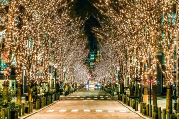 Illuminations on Marunouchi Naka-dori