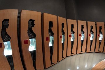 <p>The process of a fetus development over a nine month period is displayed in the human life cycle room&nbsp;</p>
