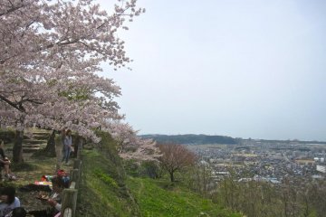 The view to the south west from the main bailey