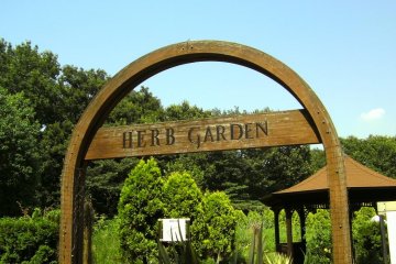 The herb garden