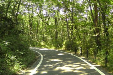 Where does the cycle path take you?  Only one way to find out!