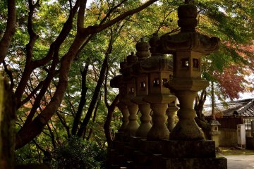 <p>Stone lanterns, called Toro, lining the pathway.</p>