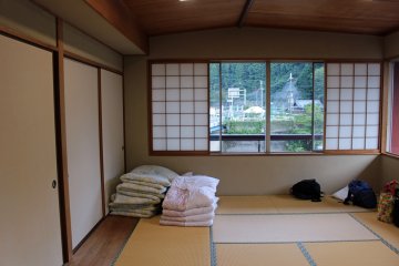 <p>Looking the other way &nbsp;</p>