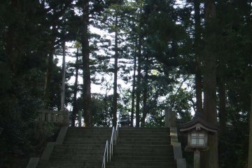 Entering the grounds