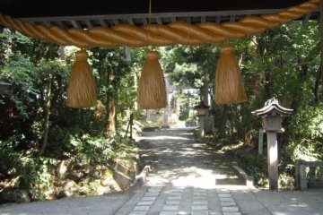 View from the back entry