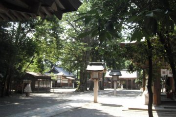 View of courtyard from the back gate