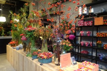 <p>Despite the amount of flora, the smell is not overpowering</p>