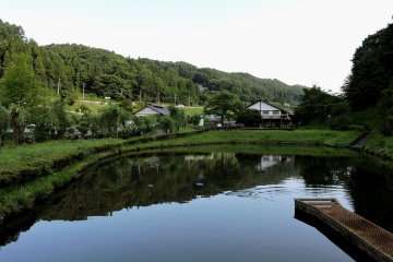 Reflections in the still pond