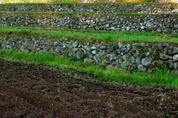 Stone edged terraces