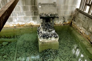 <p>A small shrine surrounded by coins &nbsp;</p>