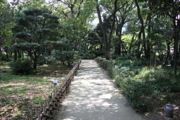 <p>The comfortable path invites&nbsp;you to slow down.</p>