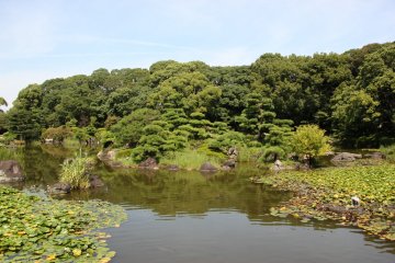 <p>The beautiful pond in the garden</p>
