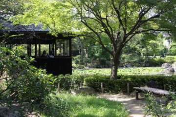 <p>The pavilion for relaxing</p>