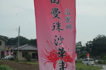 <p>Thousands of people come to see the lycoris flowers, creating a festive atmosphere.</p>