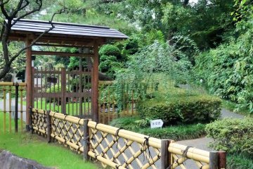 <p>The garden isn't large but is carefully tended and has many elements of older, more traditional gardens</p>